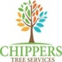 What Homeowners Need To Know About Tree Removal Cost