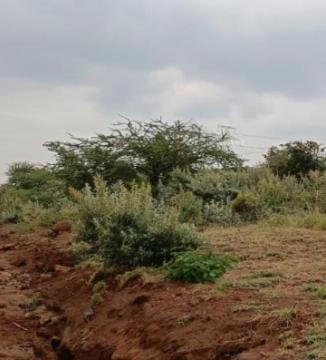 10,000 Acres for Sale in Kajiado County, Kajiado West, Kenya Ksh. 300,000/Acre