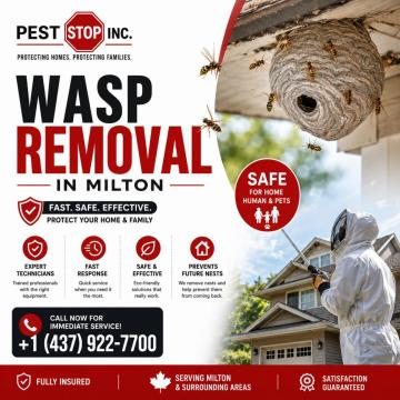 Professional Pest Control Services in Milton, ON | Pest Stop Inc.