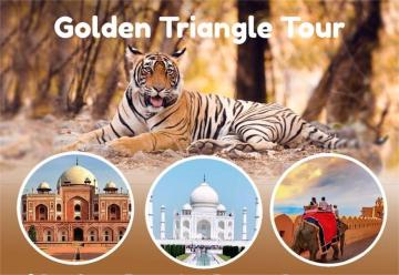 Discover India’s Icons with the Golden Triangle Tour With Ranthambore