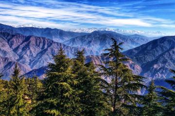 Best Resorts in Kanatal for Peaceful Hill Getaways