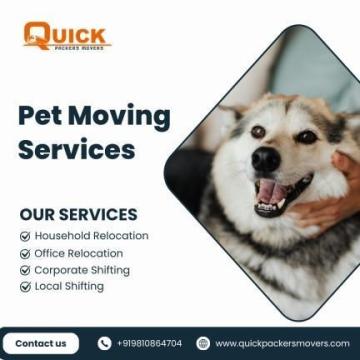 Safe Pet Moving Services by Quick Packers Movers