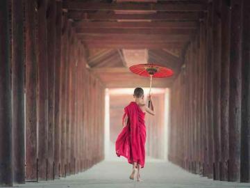 Came Across Affordable Japan Tour Packages by Chance