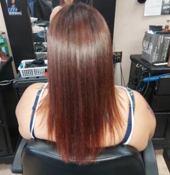 HS hector salon #2