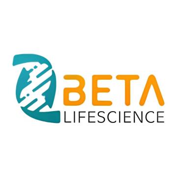 What Does DAPI Stain: DNA Nuclear Fluorescence