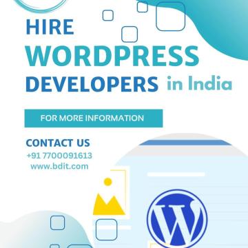 Hire WordPress Developers in India