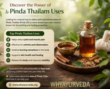 Complete Guide to Pinda Thailam Uses for Pain Relief and Healthy Living