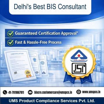 BIS Consultants in Delhi