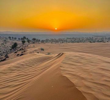 Desert Safari Abu Dhabi Best Deals & Offers - Adventure Activities in Abu Dhabi