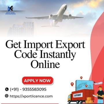 Get Import Export Code Instantly Online