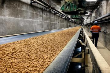 Best Quality Biomass Pellets Manufacturers in Delhi