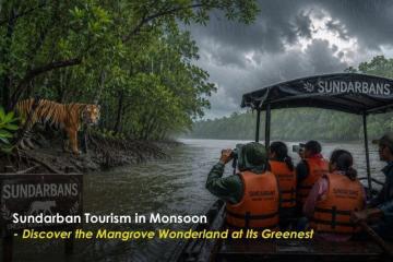 Sundarban Package Tour For 2 Night 3 Days