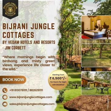Enjoy a Peaceful Forest Stay in Jim Corbett