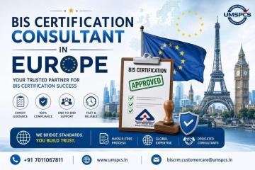 Who Provides BIS Consultancy Services in Europe?