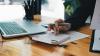 Reliable Hounslow Accountants for Tax and Compliance