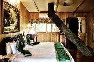 Unique Nature Stay at the Tree House Resort Jaipur
