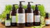 Organic Shampoo and Conditioner That Brings Natural Care to Your Hair