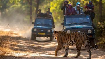 Exclusive Resort in Jim Corbett | Corbett Mystic Inn