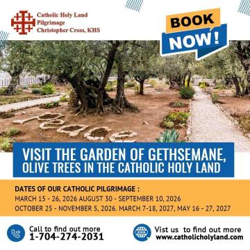 Join a Group Pilgrimage – Grow in Faith Together