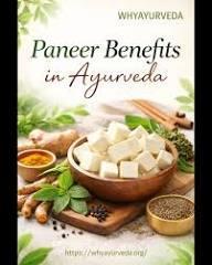 Paneer in Ayurveda: Benefits, Dosha Effects & Best Way to Eat It