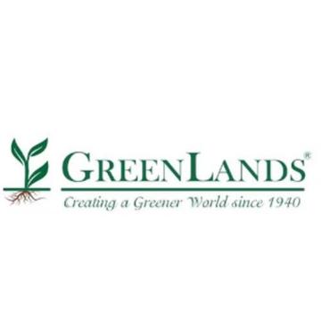 Flexible Plants on Rent Service in Mumbai by GreenLands