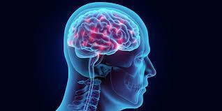 Affordable Brain Hemorrhage Treatment Cost in India | IR Facilities