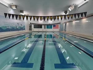 Dolphin Swimming Flagship Pool