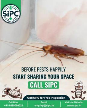 Cockroach Control in Cochin – Expert Cockroach Pest Control Services
