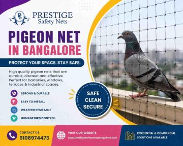 Reliable Pigeon Net Services for Homes and Apartments in Bangalore