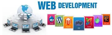 Professional Website Design by Vega Technologies LLC