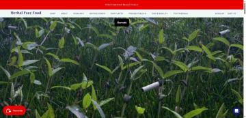 Get 30% OFF Your Order on Herbal Face Food