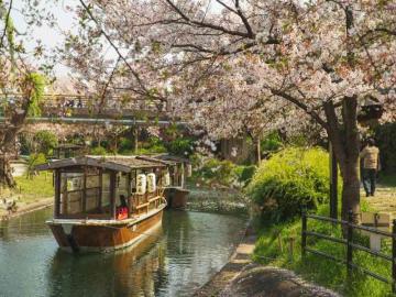 Japan Holiday Deals Online That I Actually Read Through