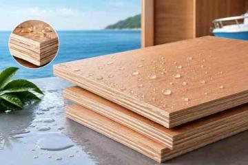 Waterproof Plywood — Built to Last, Whatever the Weather
