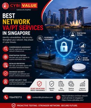 Best Network VA/PT Services in Singapore