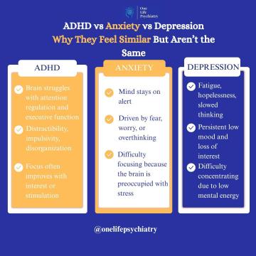 Struggling with Bipolar Disorder Get Expert Help Today