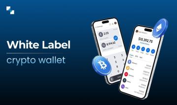 Antier's White Label Crypto Wallet Is Designed to Scale Your Web3 Business