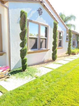 Lorenzo's Tree Services Ontario CA