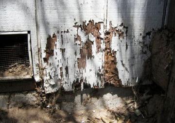 Thousand Oaks Termite Spraying