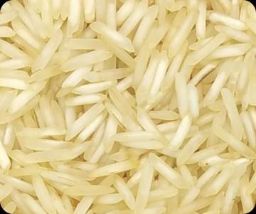 Premium Steam Basmati Rice Exporter from India to Global Markets