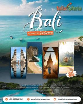 Bali Budget Tour Package | Felix Feria Travels