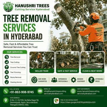 Tree Removal Services in Hyderabad