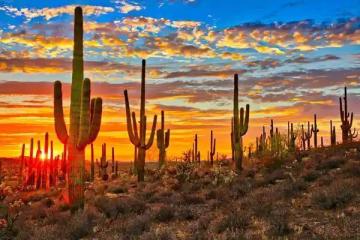 Get affordable & Cheap MLS Listing in Phoenix AZ