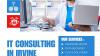Professional IT Consulting in Irvine for Small Businesses