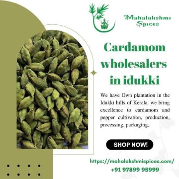 Cardamom Wholesalers In Idukki | Buy Cardamom Online