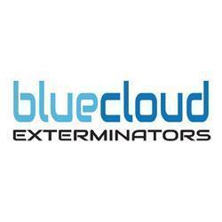 Thousand Oaks Termite Spraying