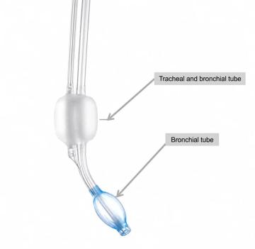 Buy Shiley Endobronchial Tube Online at Best Prices