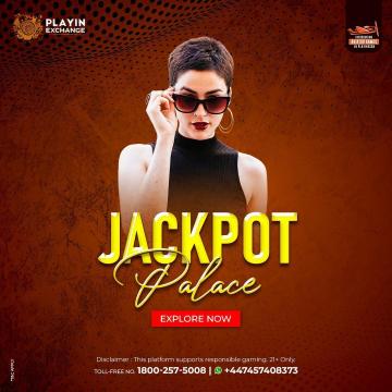 Playinexch – Your Ultimate Digital Entertainment Hub