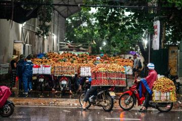 Kept This Link for a Phu Quoc 7 Night Tour Special
