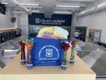 Professional Wash and Fold Laundry Services