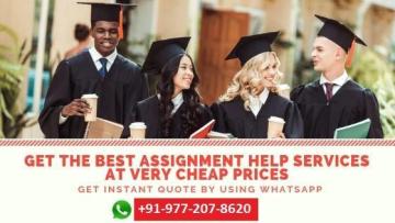Acquire amazing online assignment help for the university assignments: